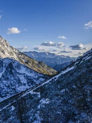 Court of Thorns and Shadows