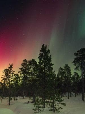 Lycan Academy: The Outcast