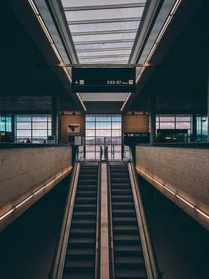 The Lycan King's Mate