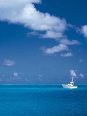 The Mafia's Secret Captive