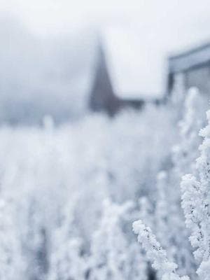 His Secret Obsession